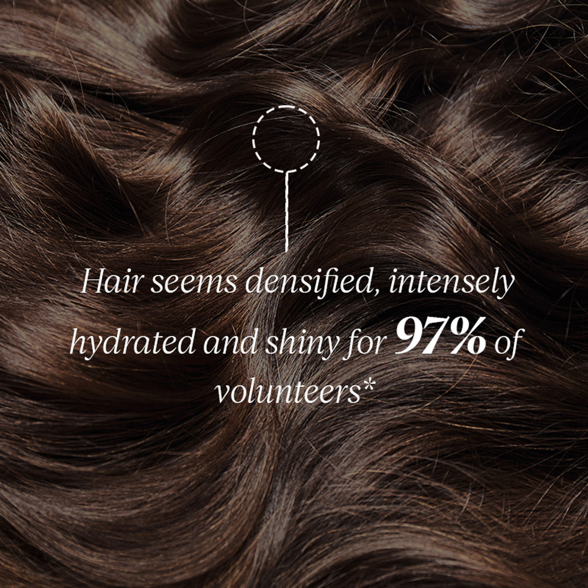 L'Occitane Strength & Volume Conditioner