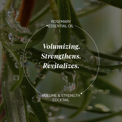 L'Occitane Strength & Volume Shampoo