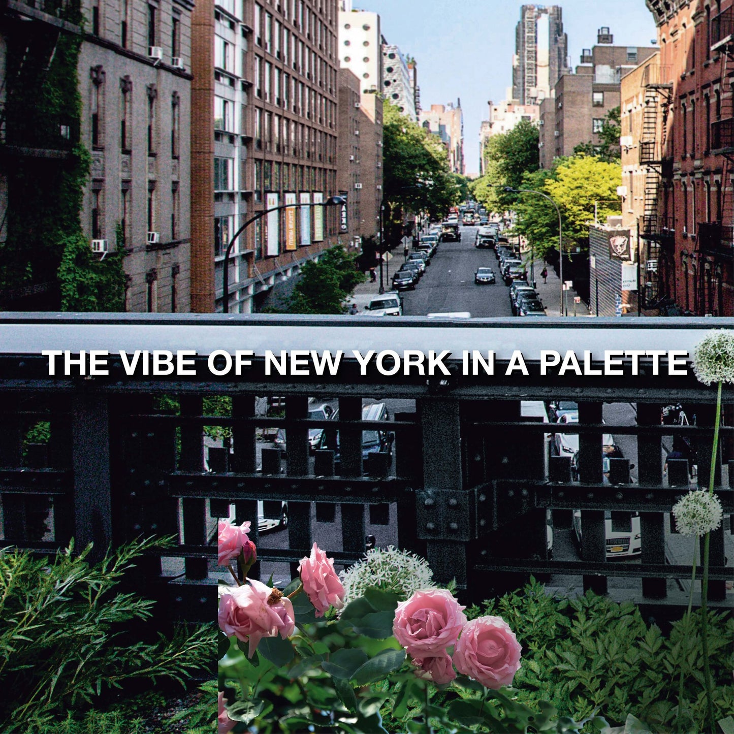 Maybelline New York City Mini Palette Eye shadow - Westside Roses