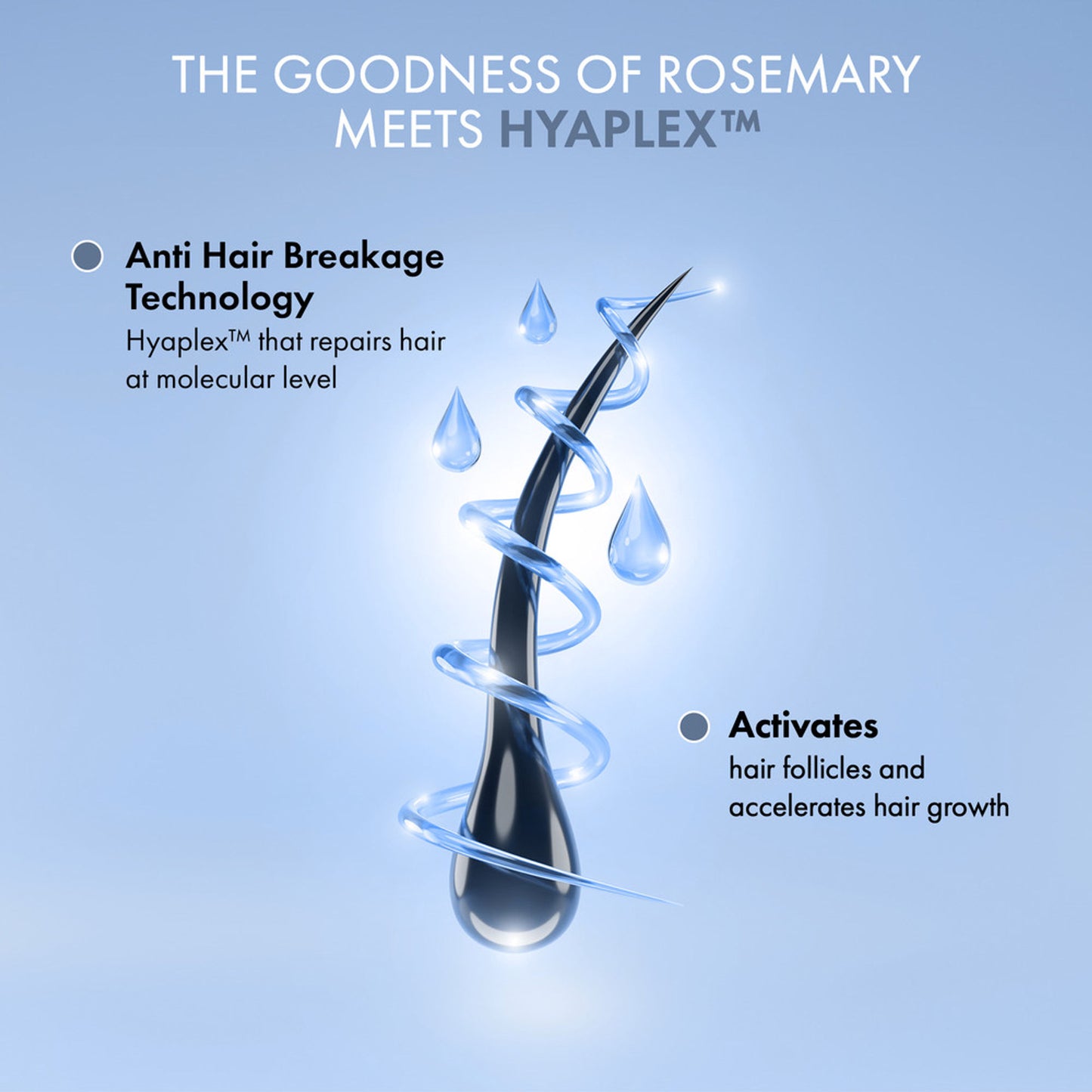 ThriveCo Hair Vitalizing Rosemary Shampoo, Sulphate Free, Hair Fall control, With Hyaplex