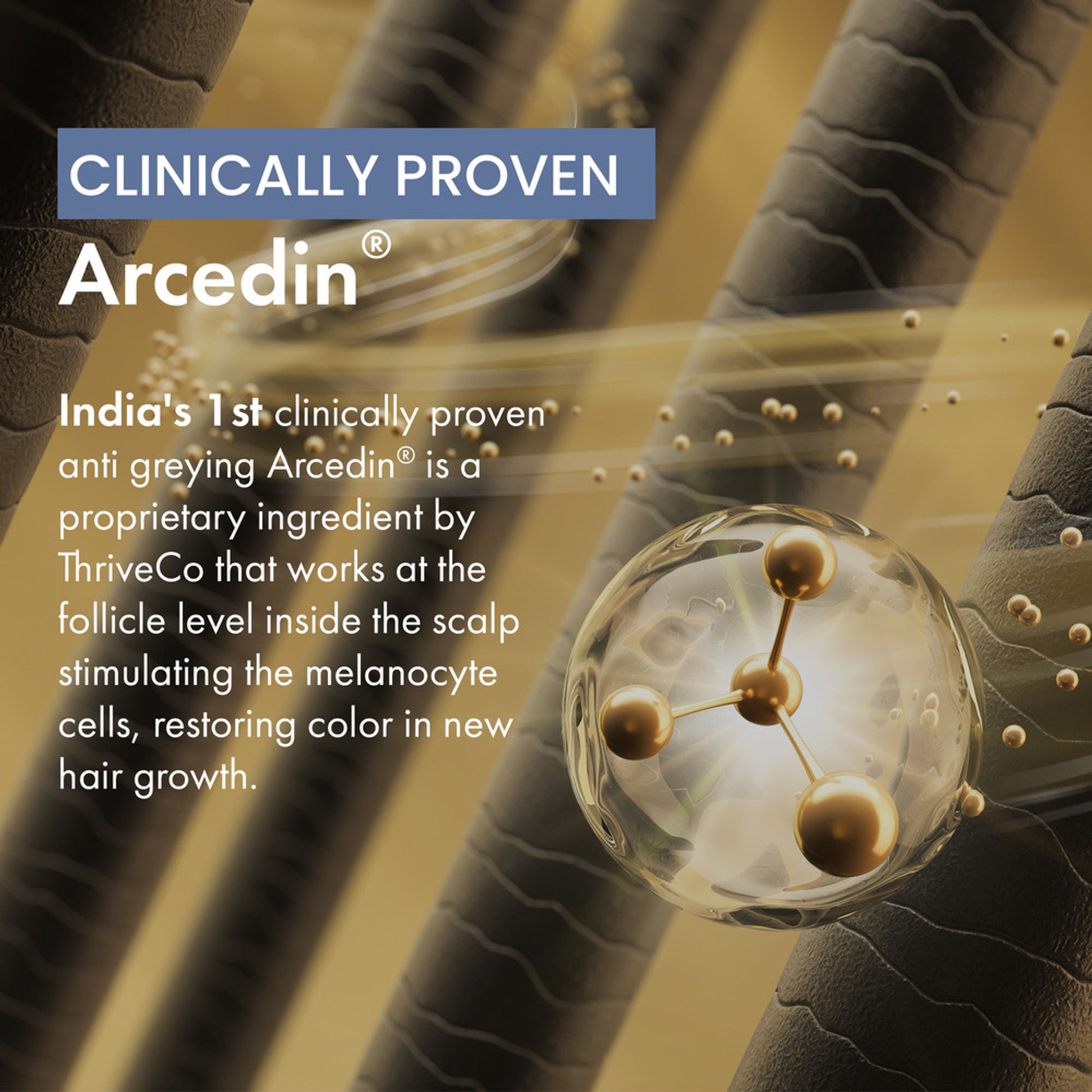 ThriveCo Anti Grey Hair Prime Serum with Arcedin & Biotin