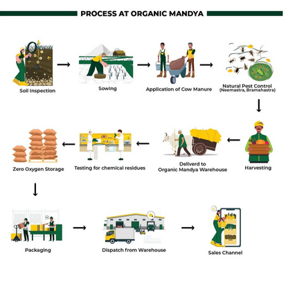 Organic Mandya Walnut