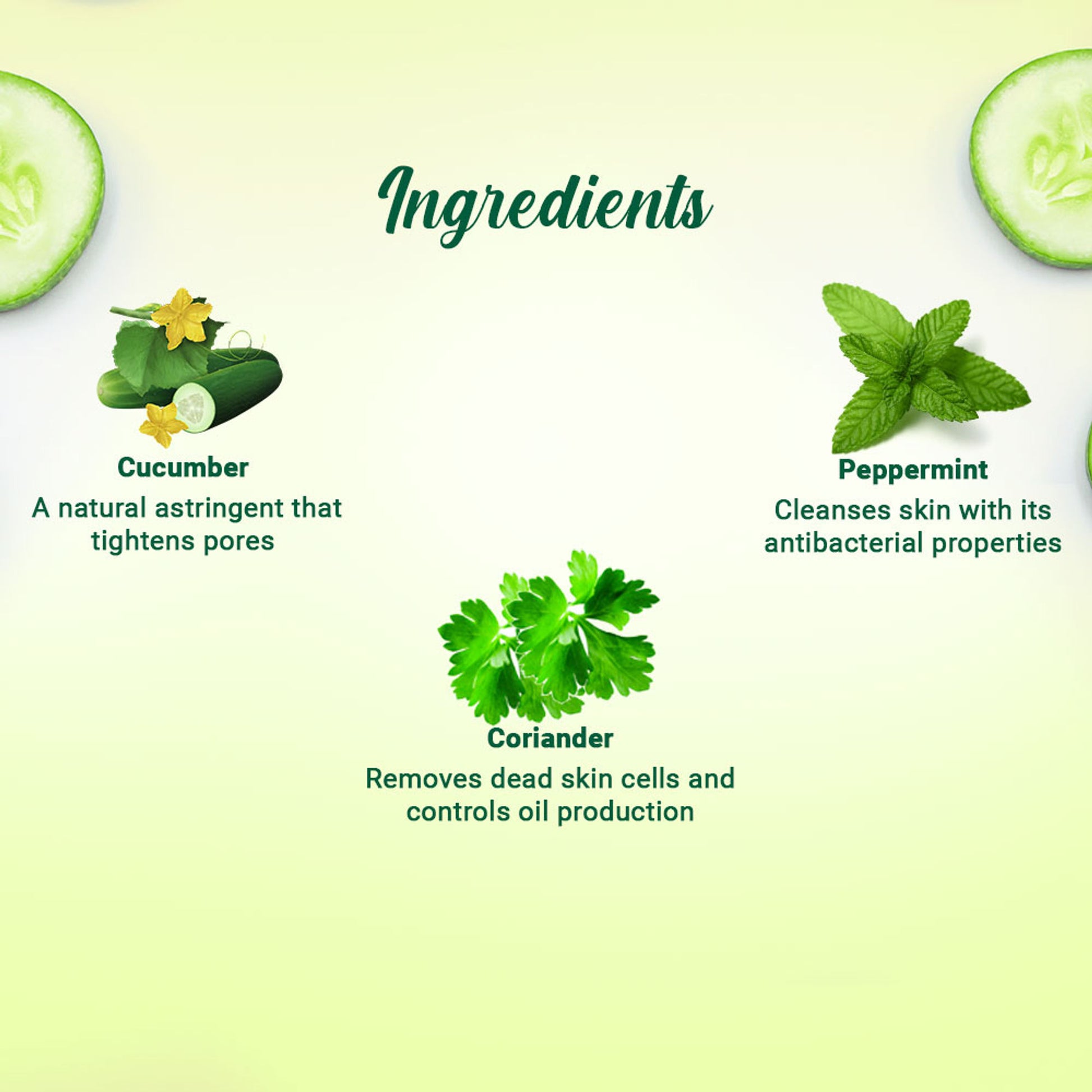 Biotique Bio Cucumber Pore Tightening Toner With Himalayan Waters