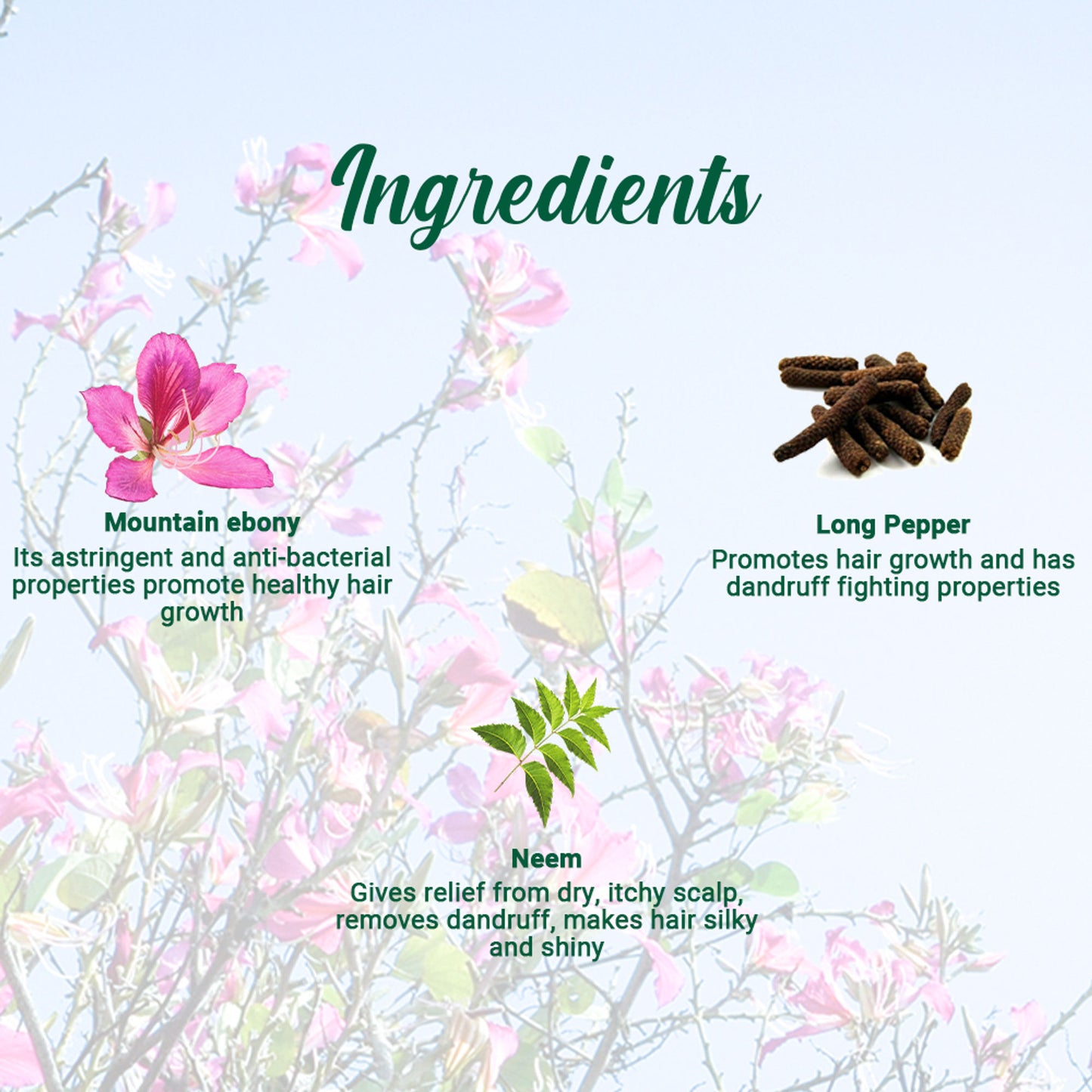Biotique Mountain Ebony Anti Hair Fall Hair Serum