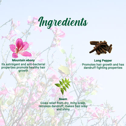 Biotique Mountain Ebony Anti Hair Fall Hair Serum