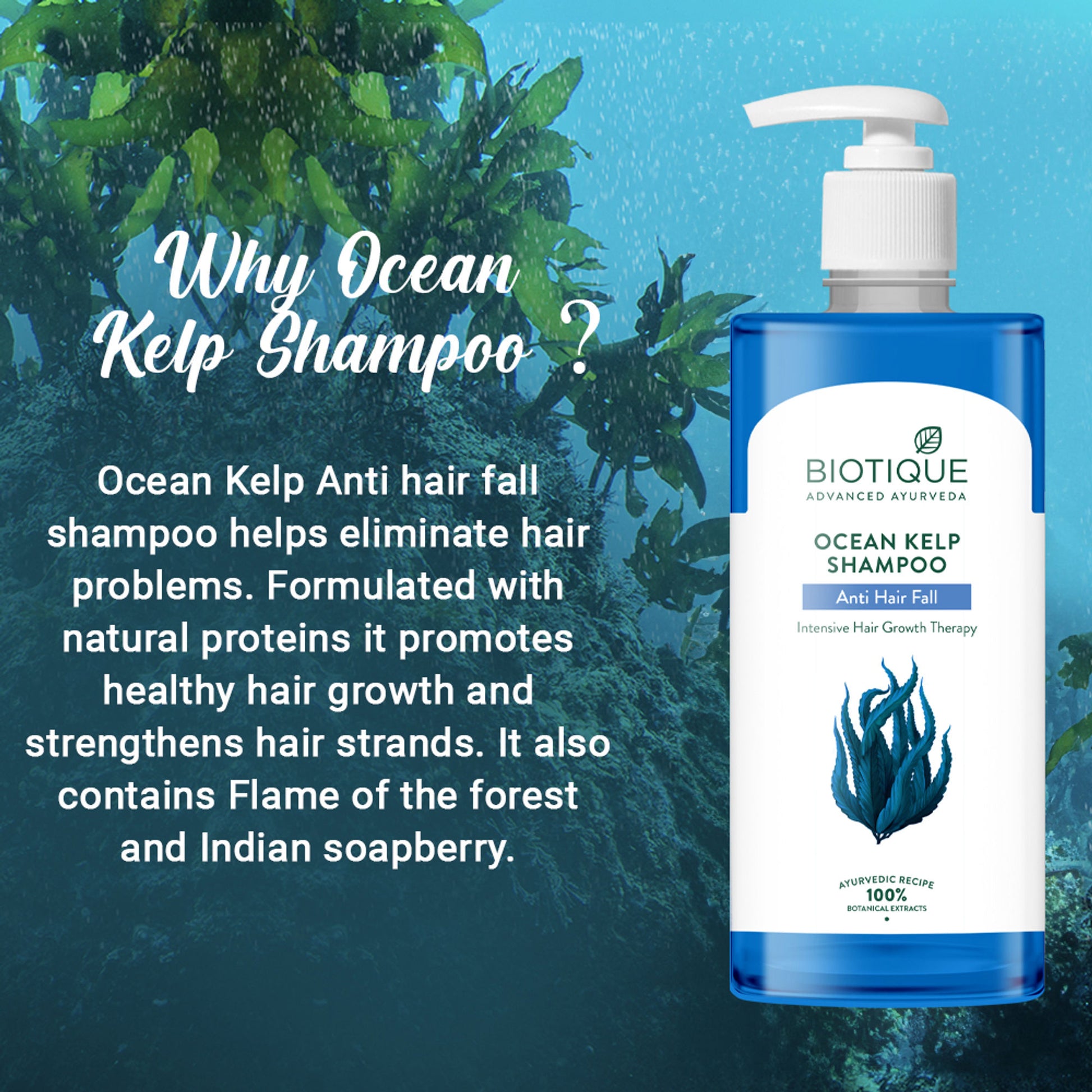 Biotique Bio Kelp Protein Shampoo for Falling Hair Growth Treatment