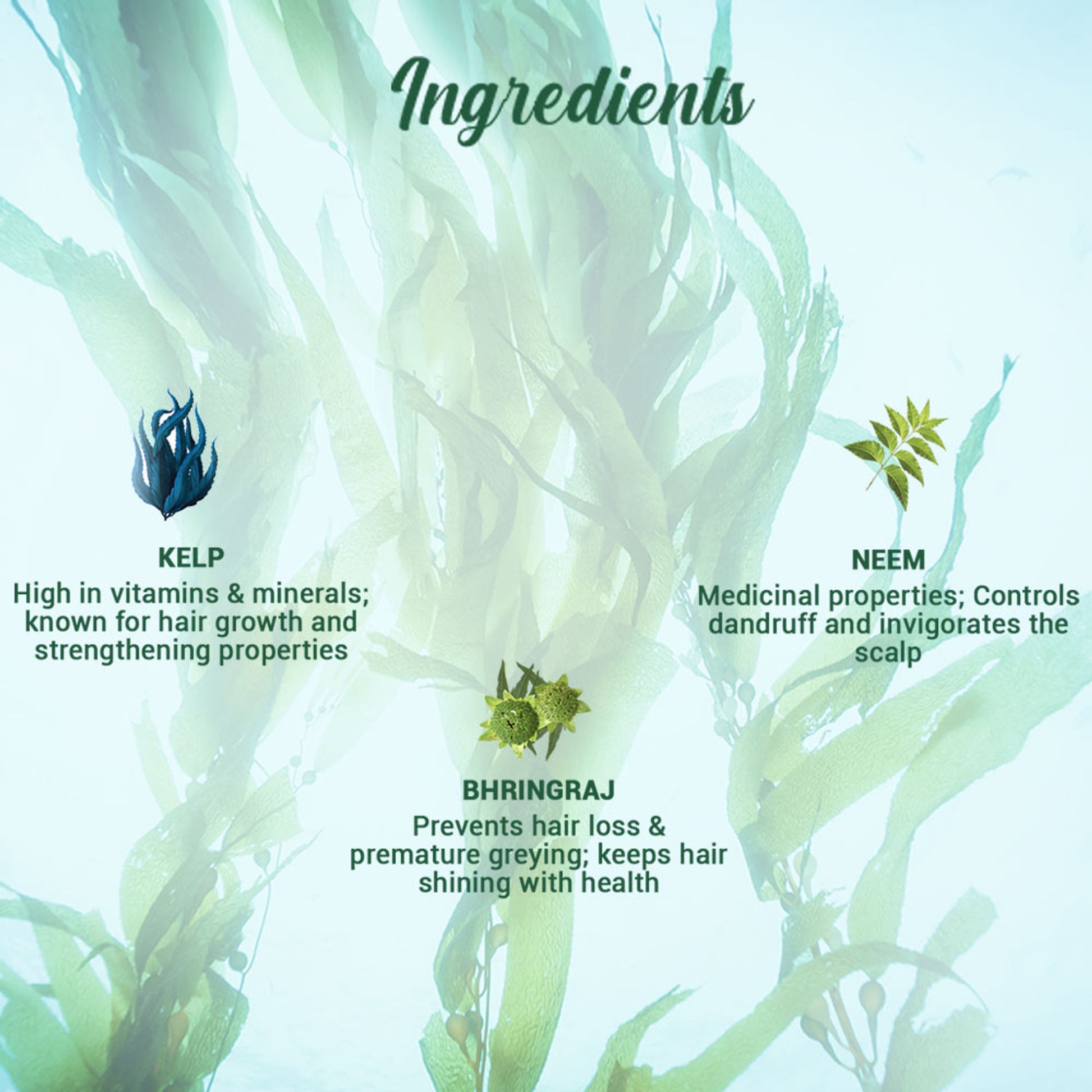 Biotique Bio Kelp Protein Shampoo for Falling Hair Growth Treatment