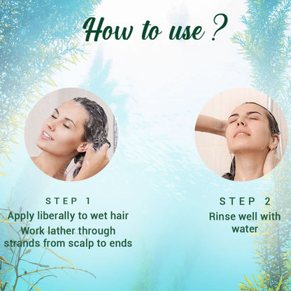 Biotique Bio Kelp Protein Shampoo for Falling Hair Growth Treatment