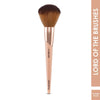 GLAM21 Lord Of The Brushes - Powder Brush