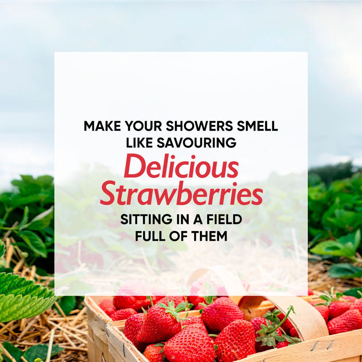 Nykaa Wanderlust Perfume Body Wash - Hydraing & Cleansing - Strawberry Daiquiri