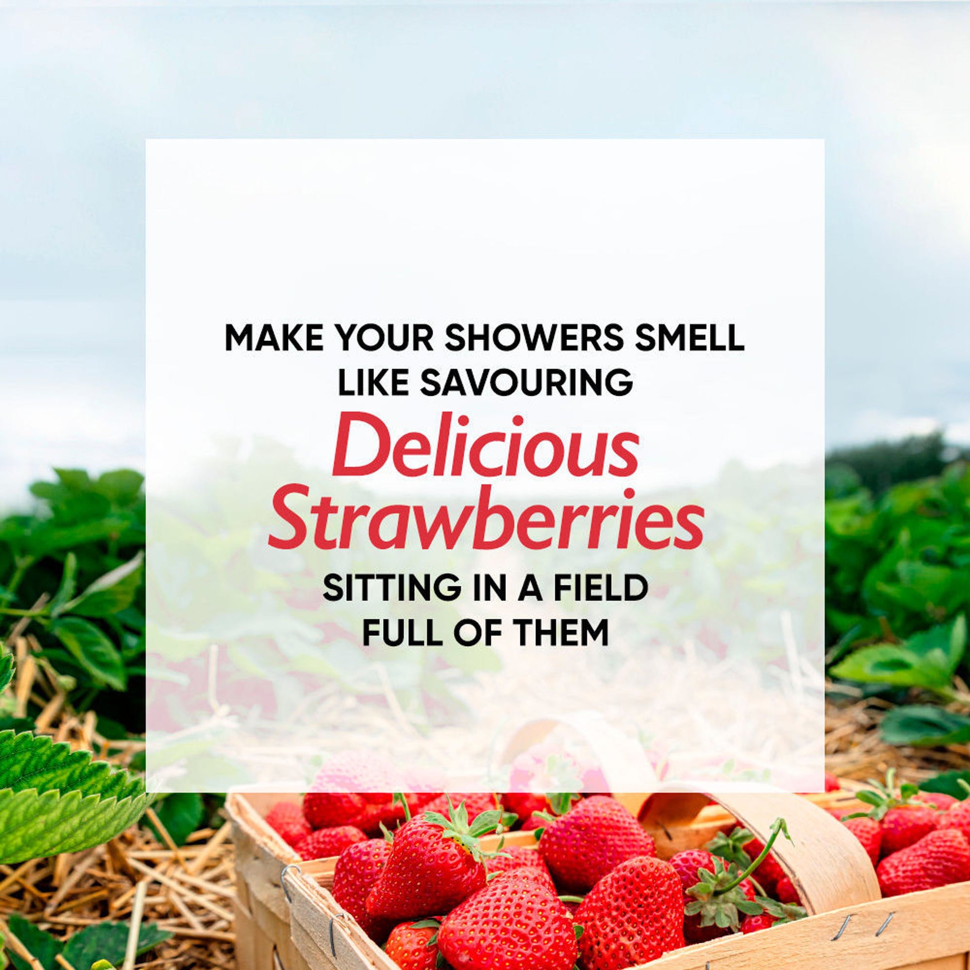 Nykaa Wanderlust Perfume Body Wash - Hydraing & Cleansing - Strawberry Daiquiri