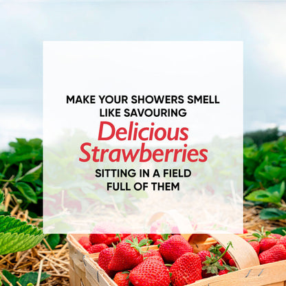 Nykaa Wanderlust Perfume Body Wash - Hydraing & Cleansing - Strawberry Daiquiri