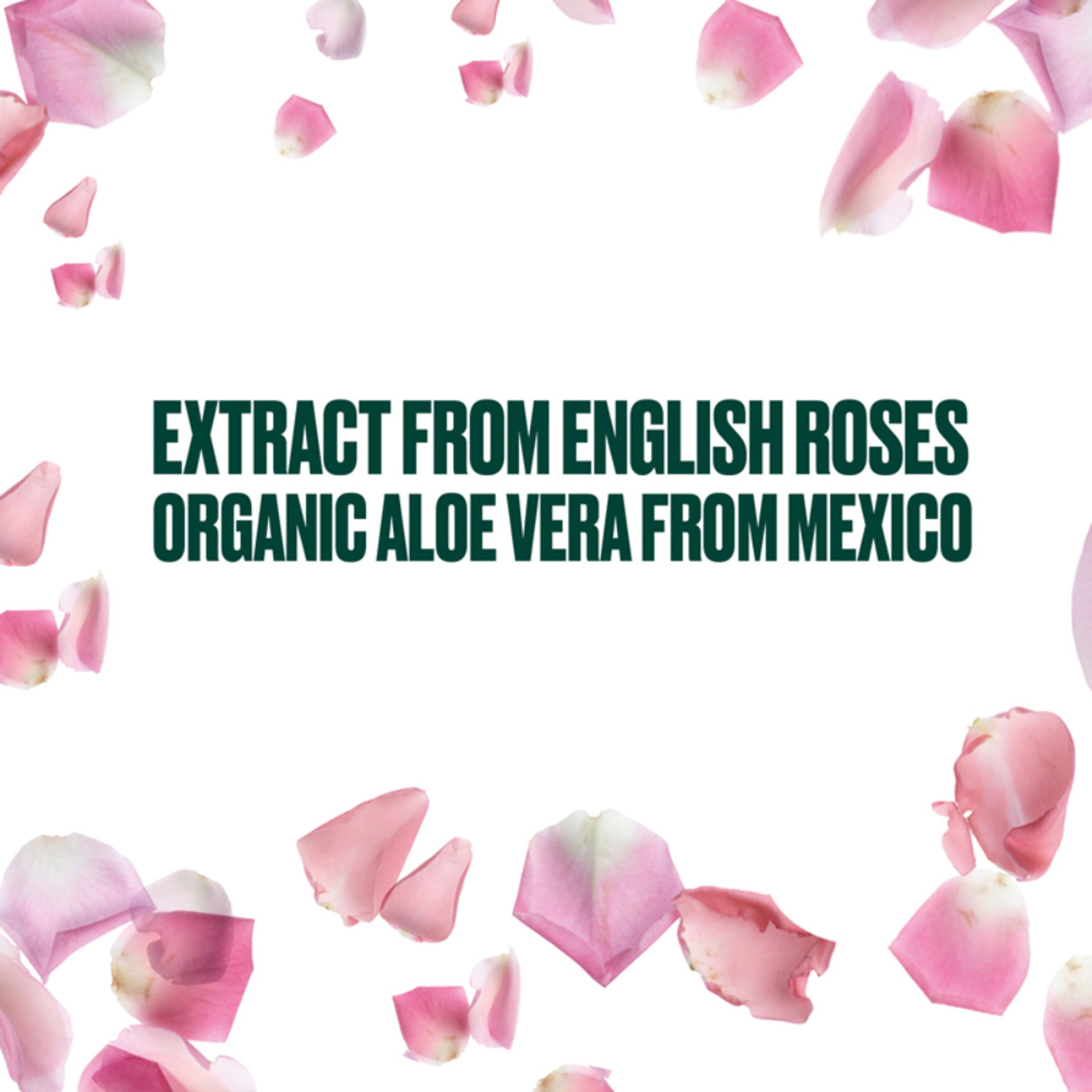 The Body Shop British Rose Shower Gel, Softens & Cleanses, Floral Scent of Rose & Aloe, Soap-Free