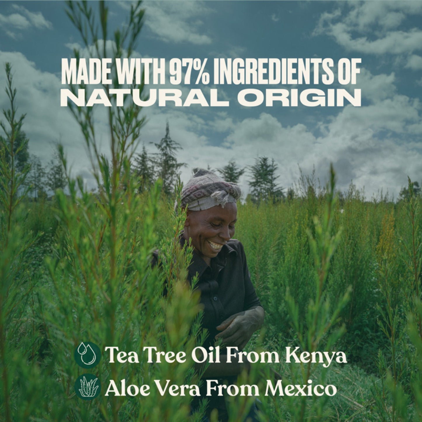 The Body Shop Tea Tree Purifying & Balancing Conditioner