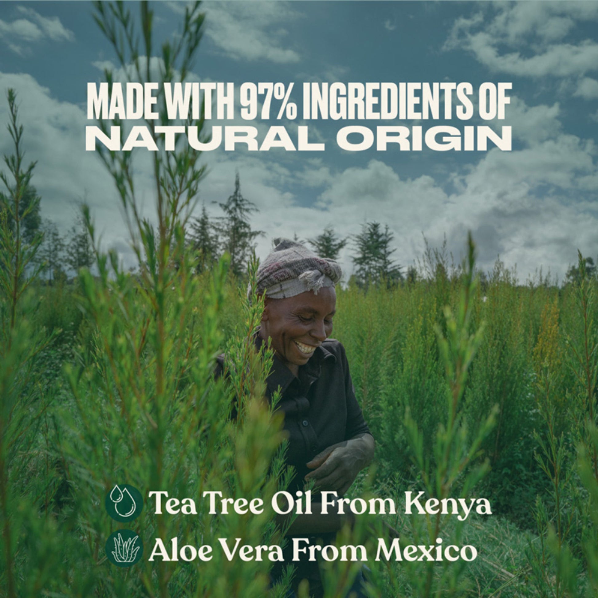 The Body Shop Tea Tree Purifying & Balancing Conditioner