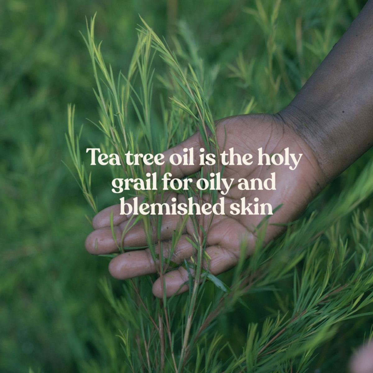 The Body Shop Tea Tree Skin-control Hydrator