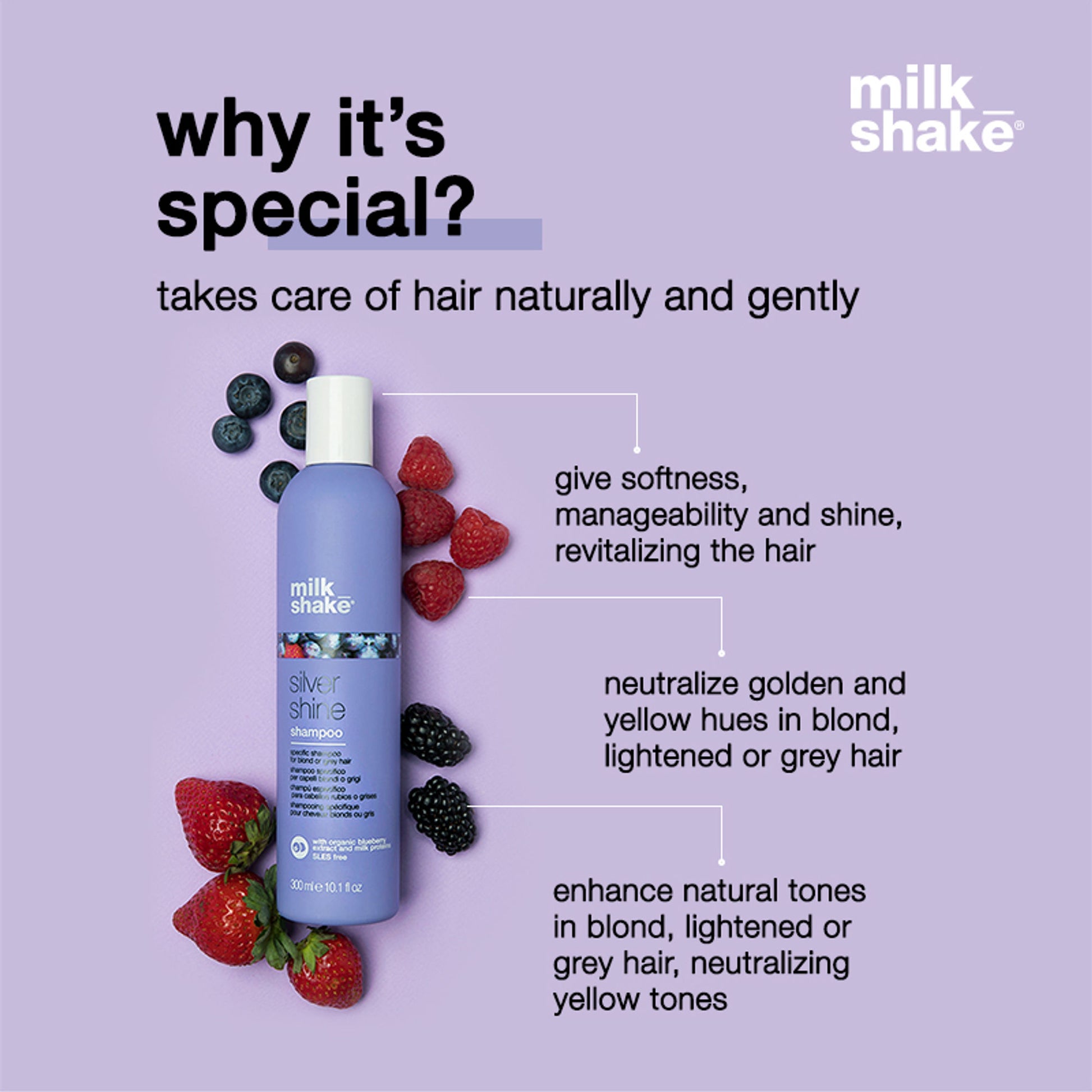 Milkshake Silver Shine Shampoo For Blond & Grey Hair