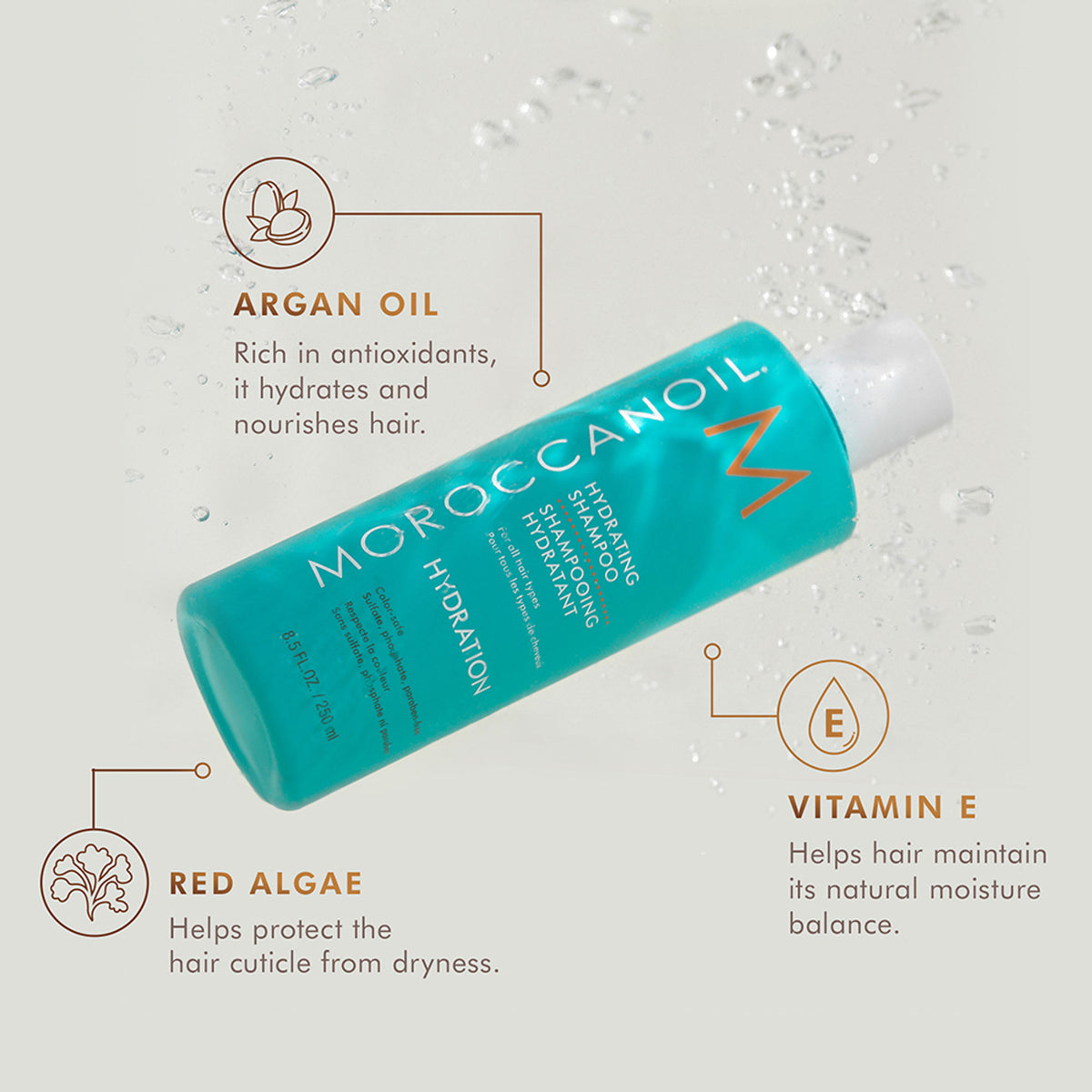 Moroccanoil Travel Hydrating Shampoo