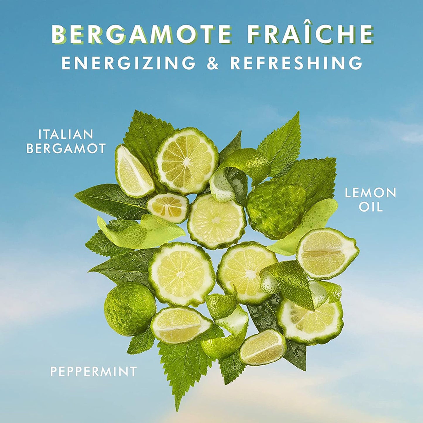 Moroccanoil Shower Gel Bergamote Fraiche|Argan Oil|Refreshing Citrus Cleanse Hydration Revives Skin