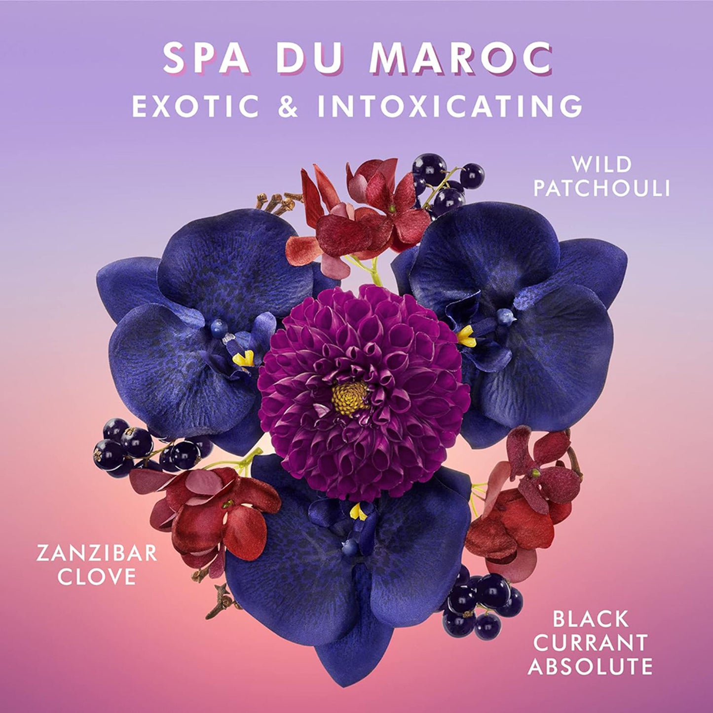Moroccanoil Shower Gel Spa Du Maroc |Argan Oil|Nourishing, Hydrates & Revitalizes Soft, Glowing Skin