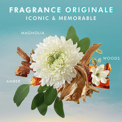 Moroccanoil Body Lotion Fragrance Originale | Argan Oil-Infused, Aloe Fast-Absorbing Moisturizer