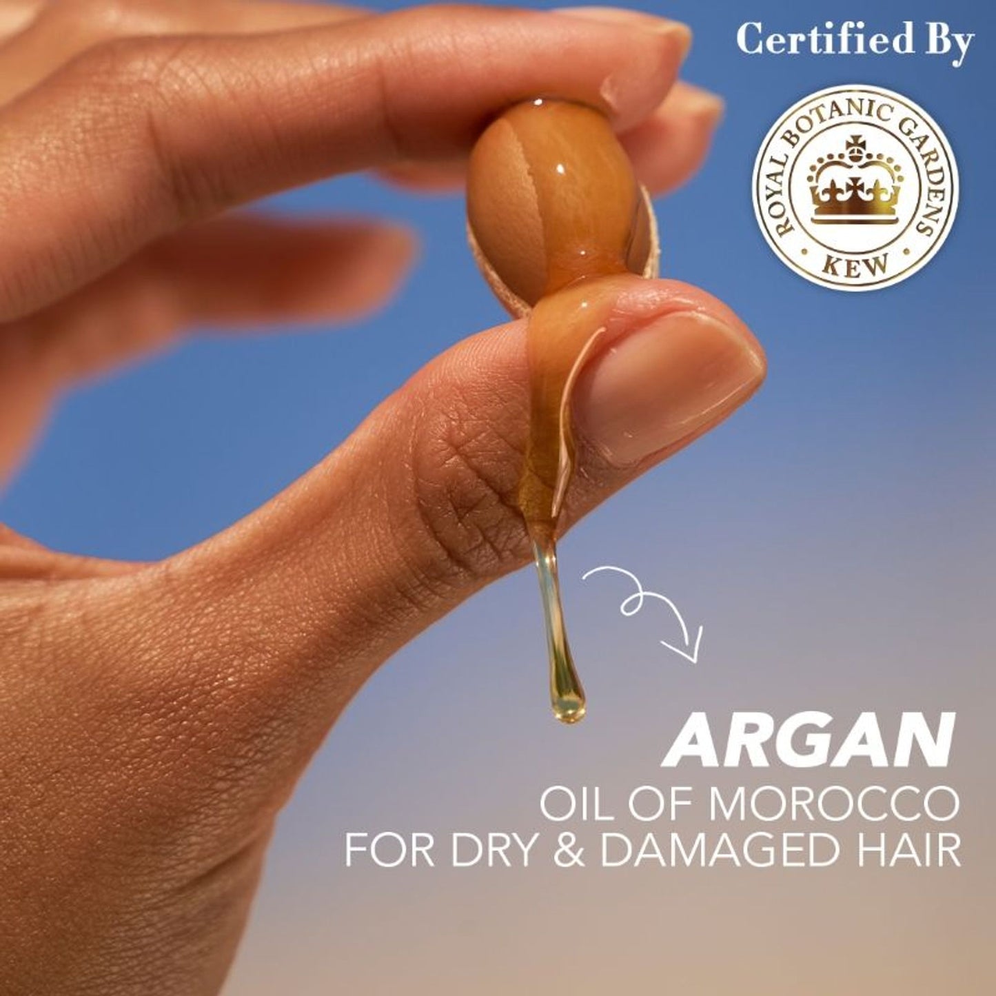Herbal Essences Argan Oil Of Morocco Conditioner - For Frizz Free Hair - Paraben Free