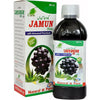 Cura Jamun Ras