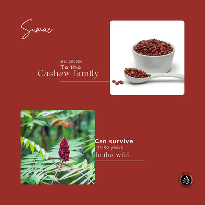 Organic Ayurvedistan Sumac Powder in a glass jar, showing vibrant red spice granules, used in Ayurvedic cooking and herbal remedies.