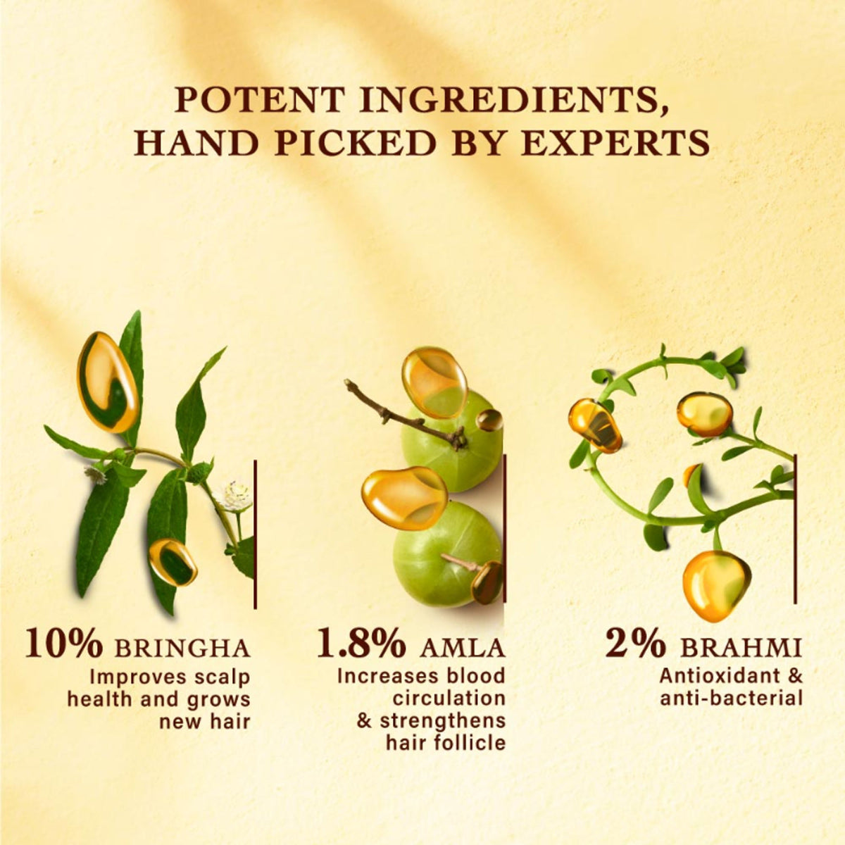 Indulekha Bringha Hair Anti-Hairfall Shampoo