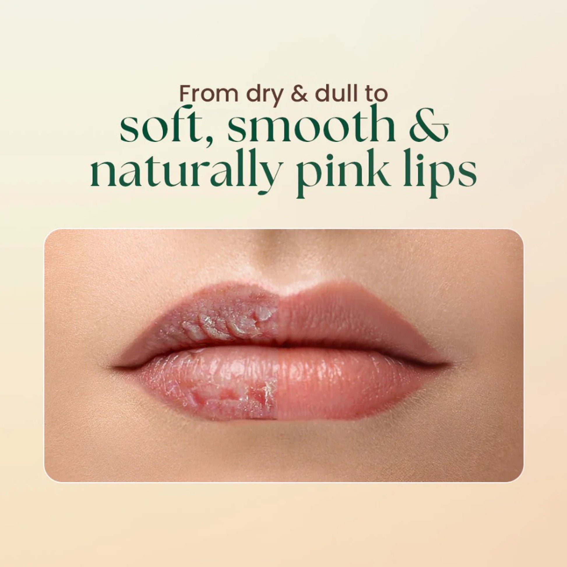 Moha Lip Scrub Exfoliate And Hydrate Lips For Soft Plump Lips