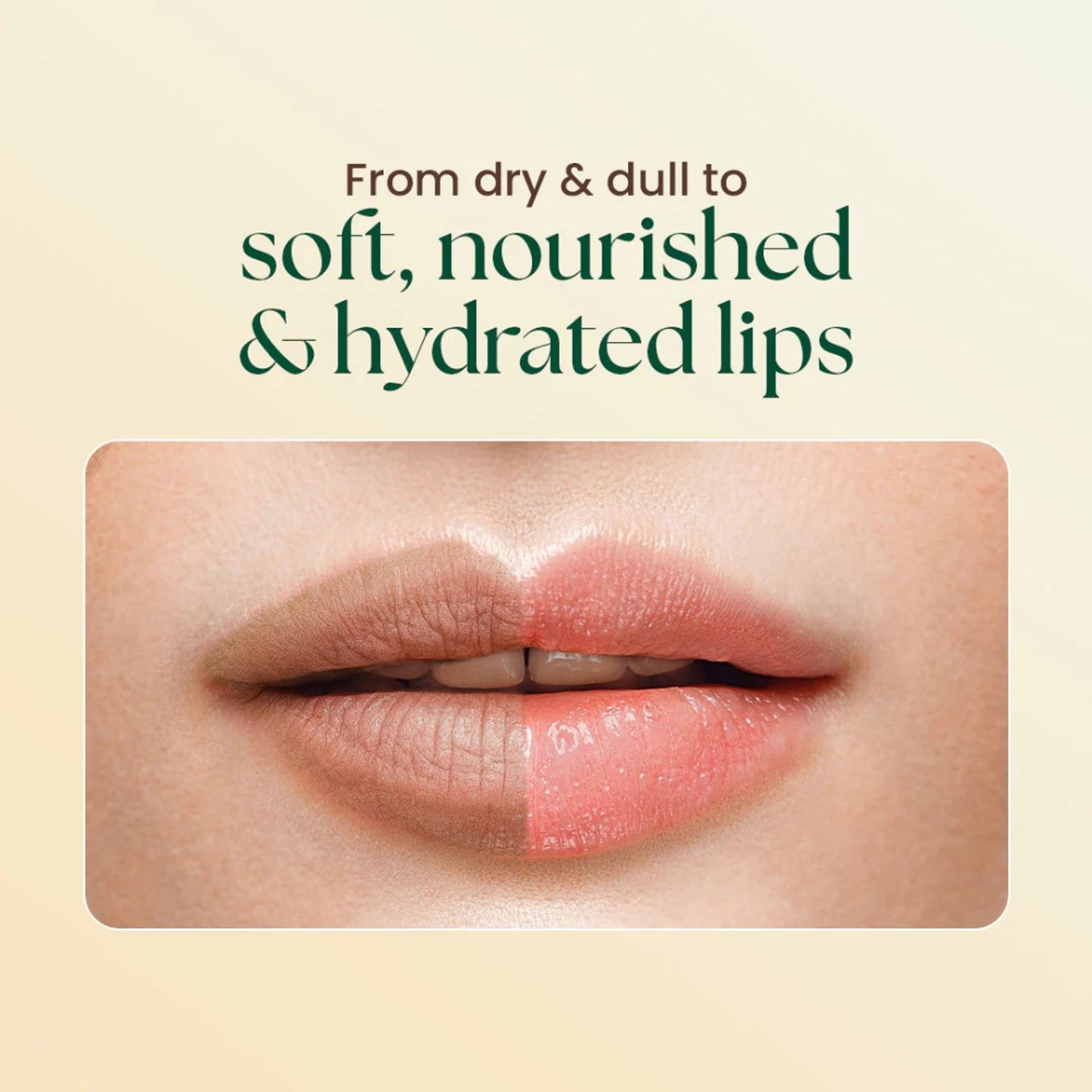 Moha Lip Butter Nourishing Lip Care For Soft Smooth Lips