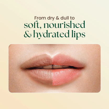 Moha Lip Butter Nourishing Lip Care For Soft Smooth Lips