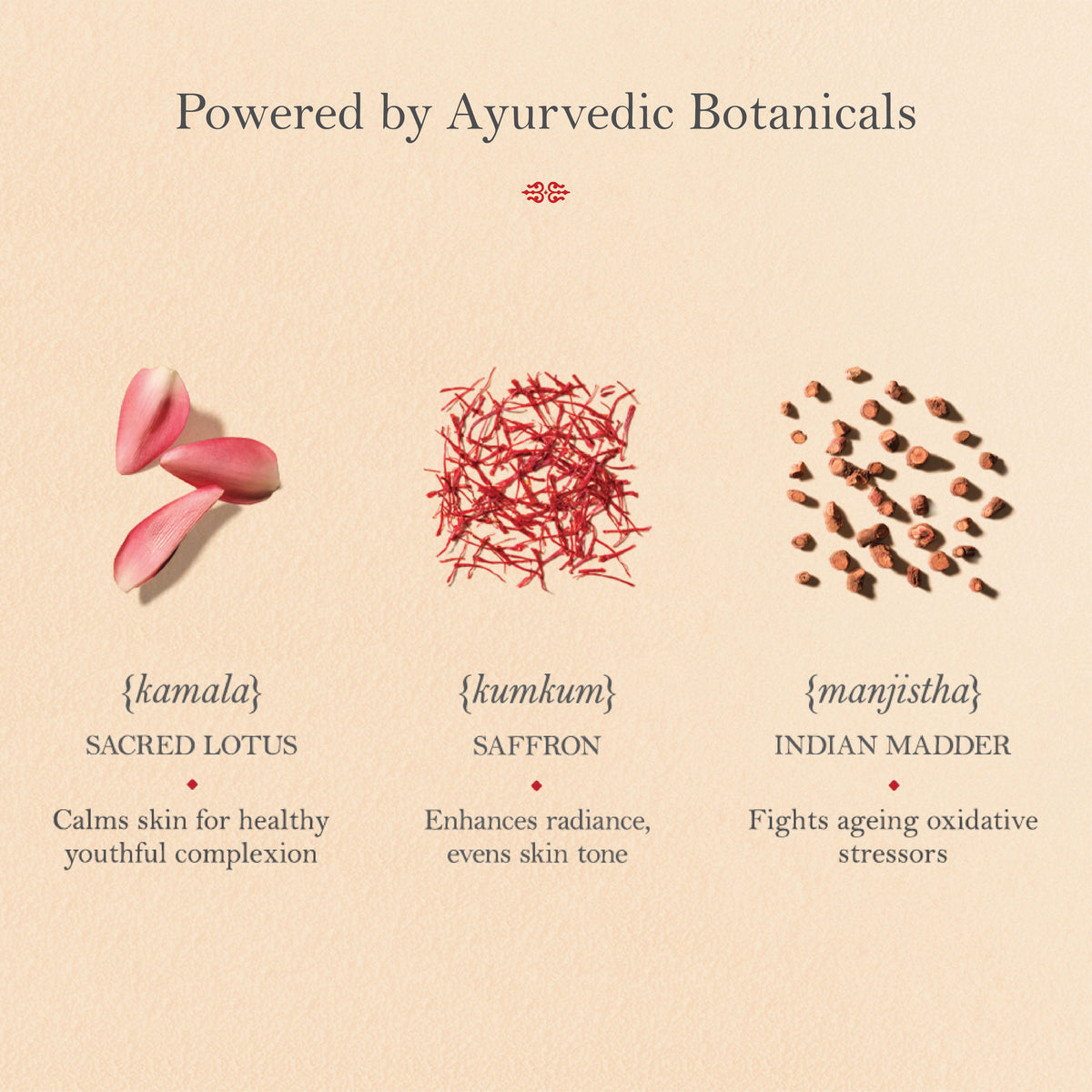 Kama Ayurveda Kumkumadi Thailam Ayurvedic night serum in a glass bottle with dropper for radiant skin.