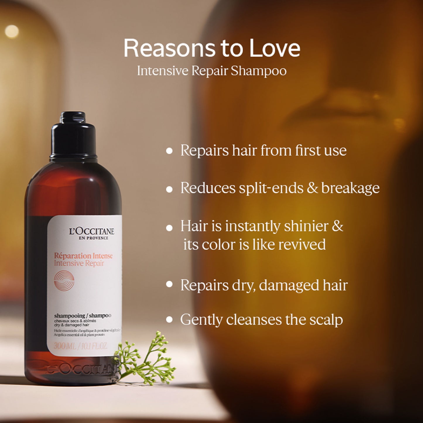 L'Occitane Intensive Repairing Shampoo - Clean Formula