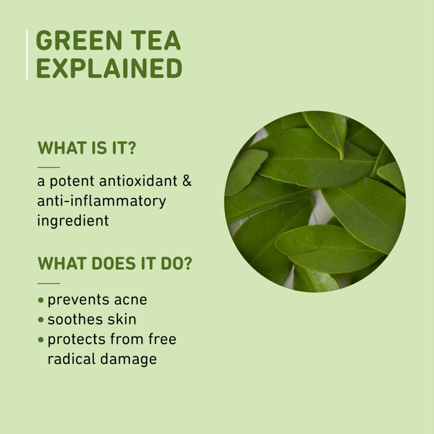 Plum Green Tea Renewed Clarity Night Gel Mini