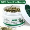 Mystiq Living Dried Rosemary Leaves for Hair Growth & Tea Infusion, 100% Dry and Organic