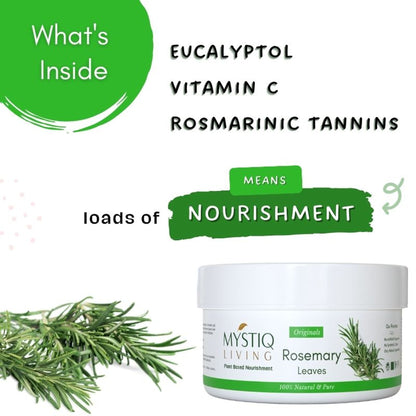 Mystiq Living Dried Rosemary Leaves for Hair Growth & Tea Infusion, 100% Dry and Organic