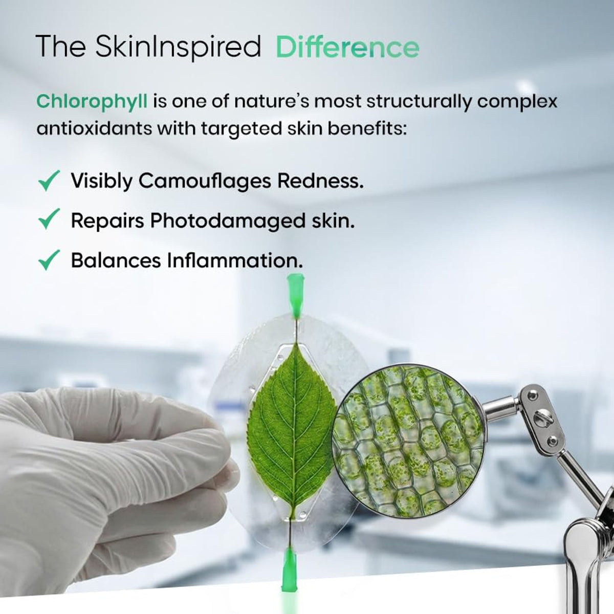 SkinInspired The Green Sunscreen SPF 50+ PA+++