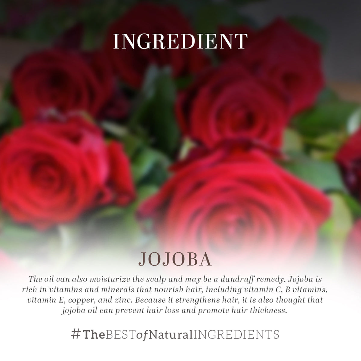 Khadi Natural Rose Essential Oil bottle with dropper, showcasing natural rose oil for calming and balancing skin and mood.