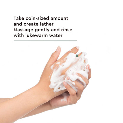 The Face Shop Tea Tree Gel Cleanser - Korean Face Wash