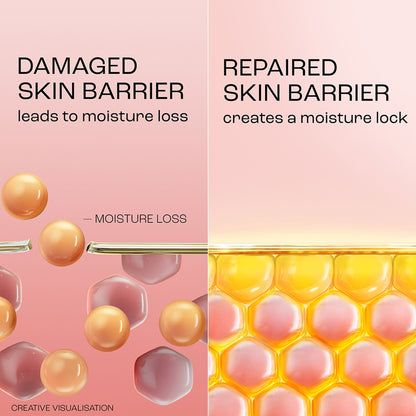 Lakmé Peach Creme Moisturiser, Ceramide & Peptide, Skin Barrier Repair & Hydrated Glow
