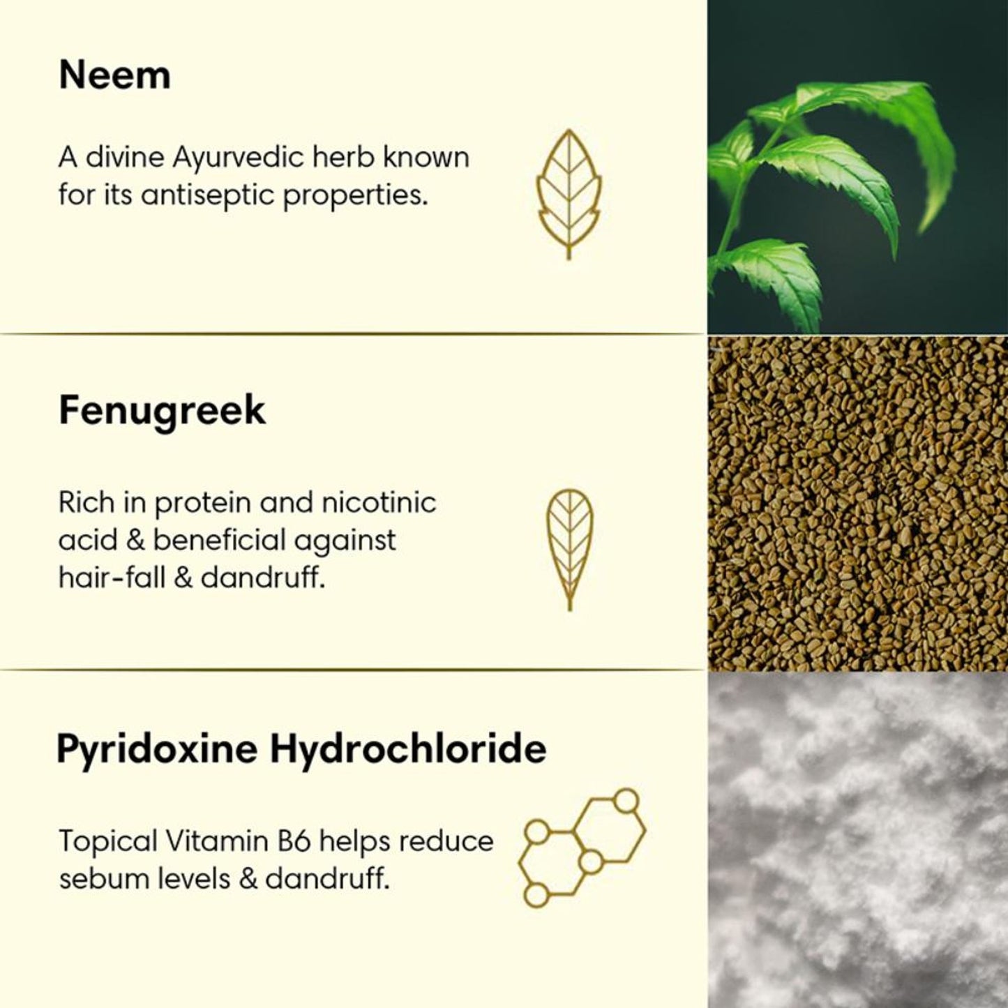 The Earth Collective Hair Cleanser, Anti-Dandruff With Neem & Fenugreek