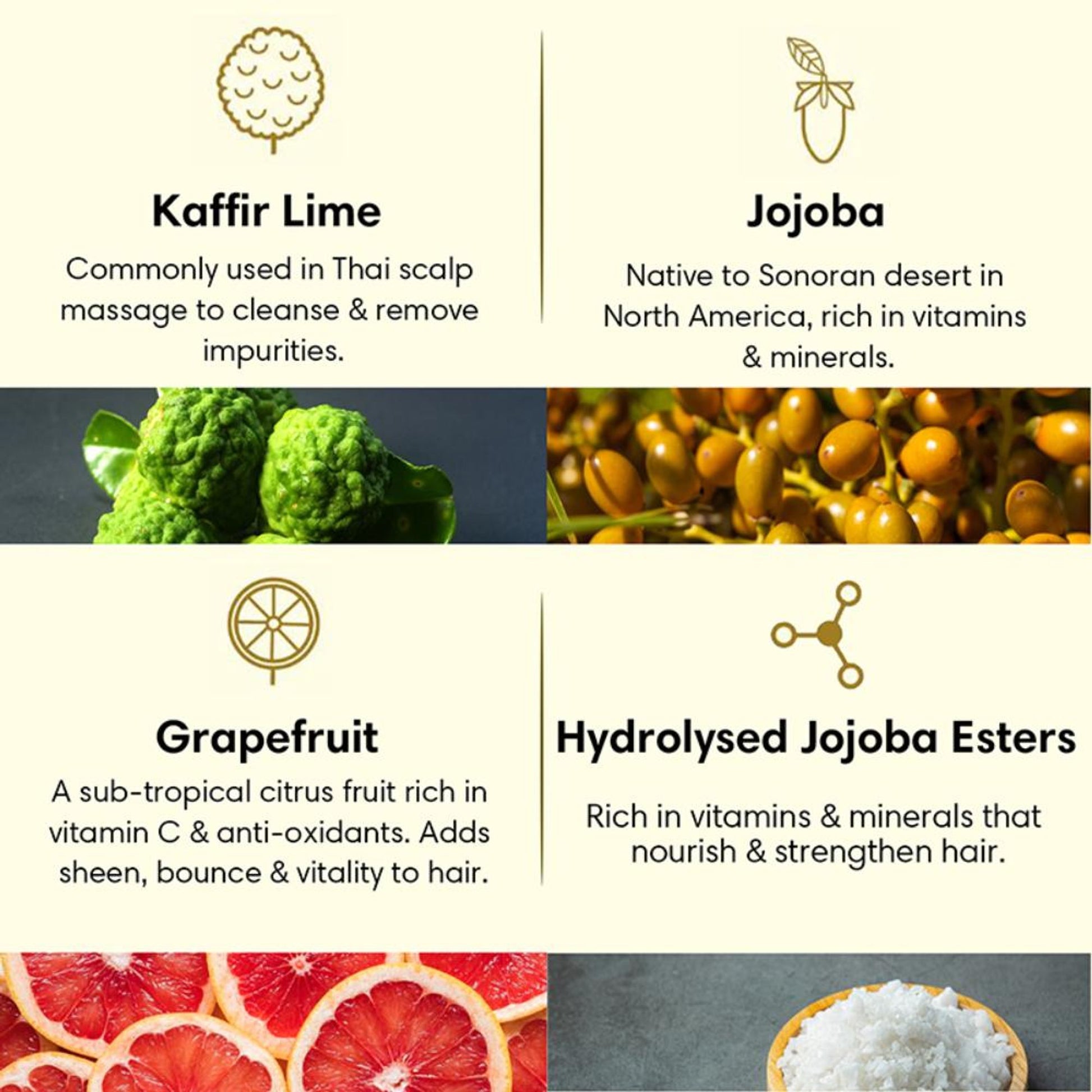 The Earth Collective Hair Conditioner- Oily Hair - For Oily Scalp