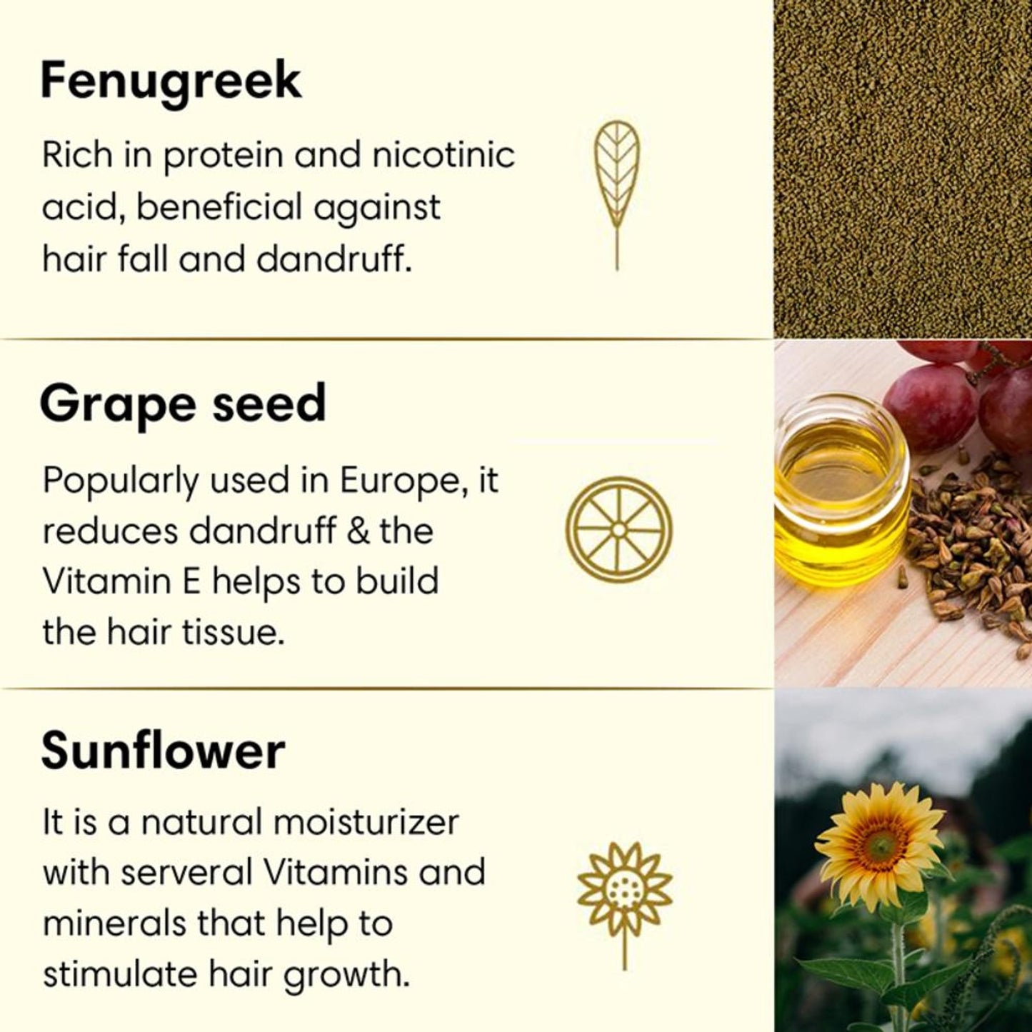 The Earth Collective Hair Oil, Anti Dandruff With Neem & Fenugreek