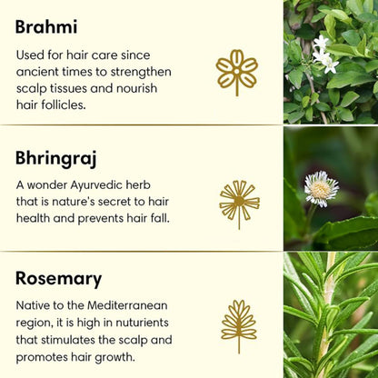 The Earth Collective Anti Hair Fall Hair Oil With Rosemary, Bhringraj & Brahmi