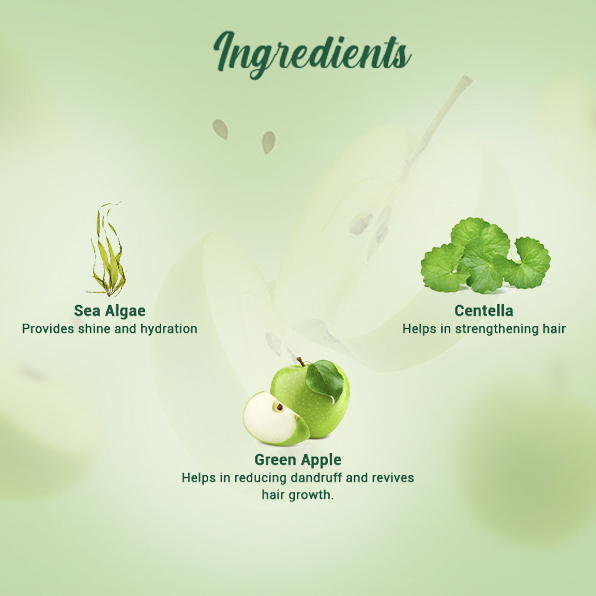 Biotique Bio Green Apple Fresh Daily Purifying Shampoo & Conditioner