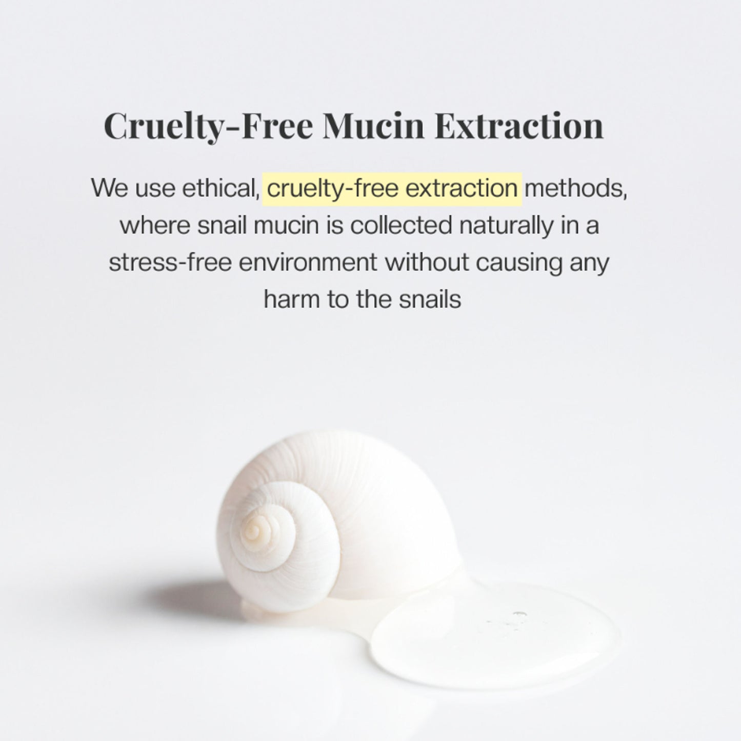 Mirabelle Korea Snail Recovery Essence