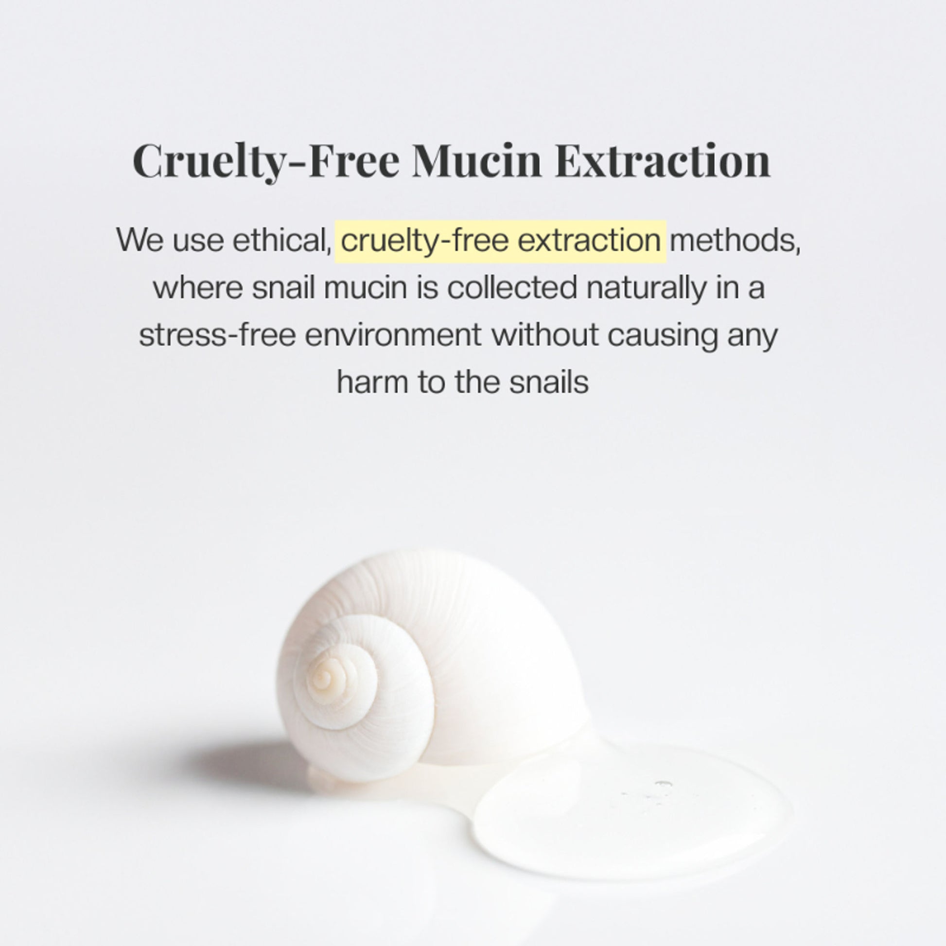 Mirabelle Korea Snail Recovery Essence