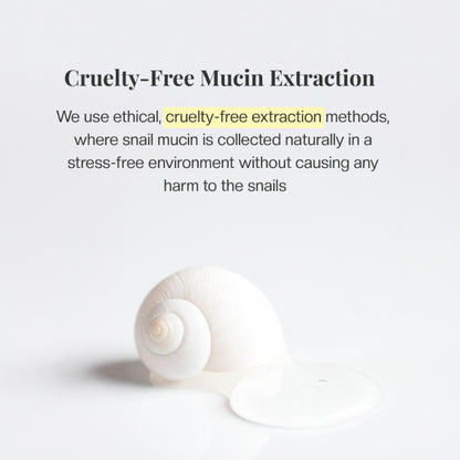 Mirabelle Korea Snail Recovery Essence