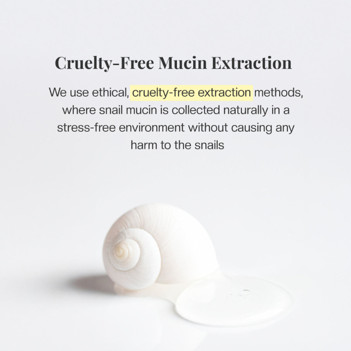 Mirabelle Korea Snail Revolution Eye Cream